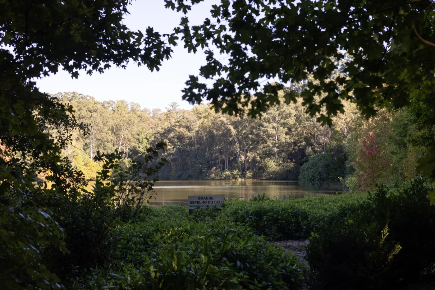 Parque Witeck — foto 4 de 12